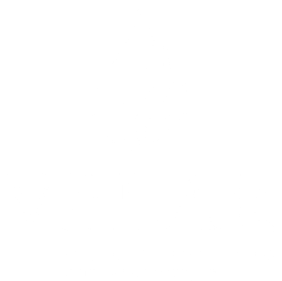Imagem logo Velar Sp